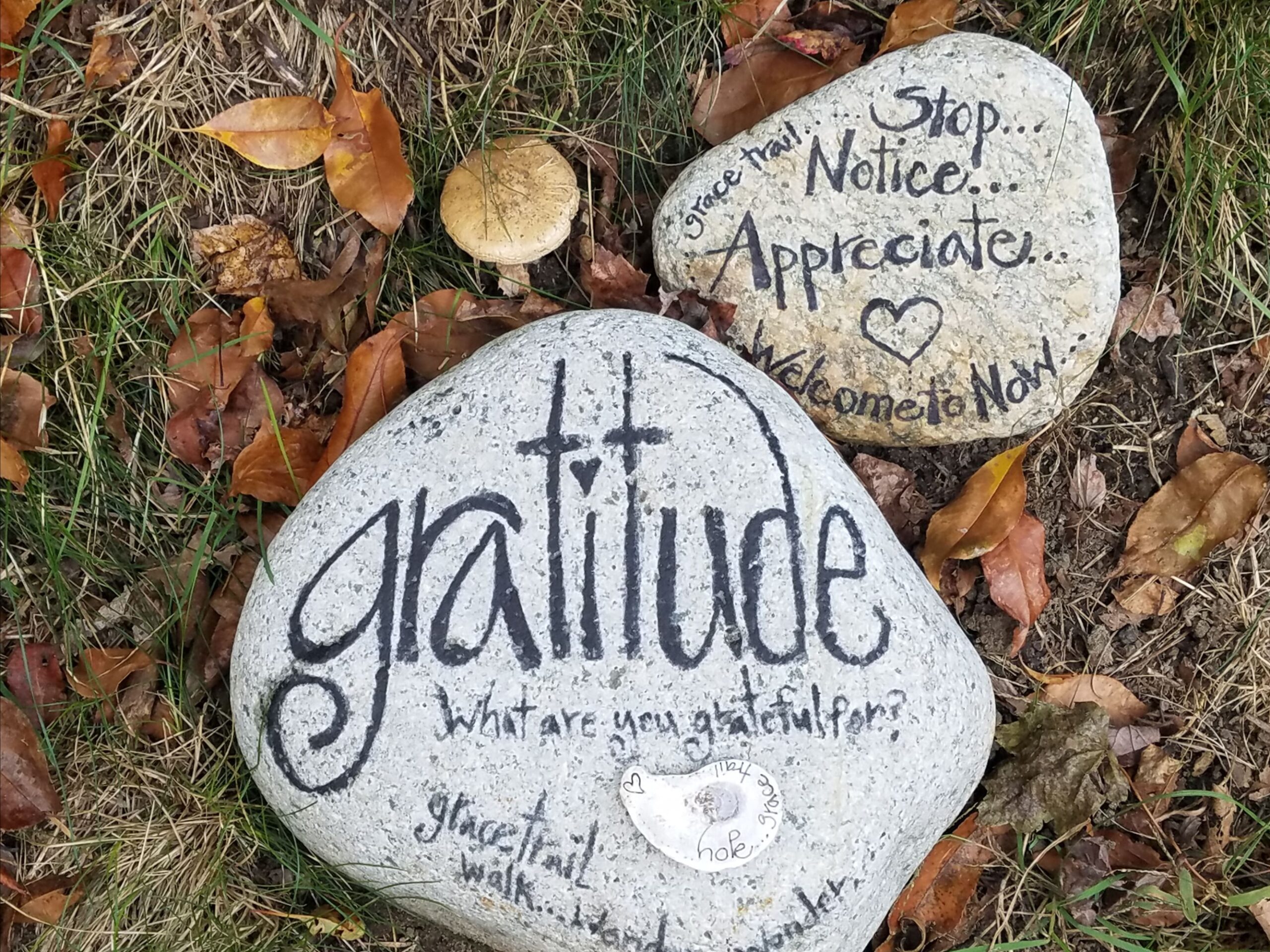 Gratitude Thanksgiving